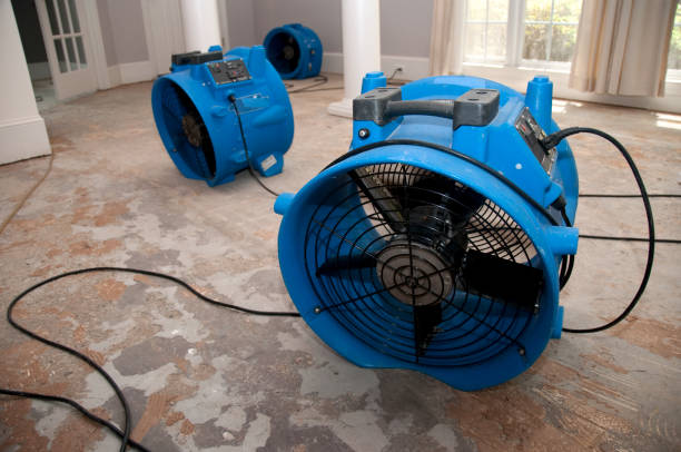  Hurstbourne Acres, KY Water damage restoration Pros