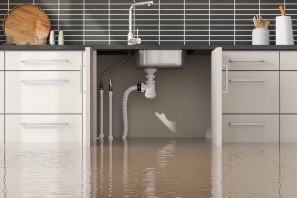 Best Flooded house restoration  in Hurstbourne Acres, KY